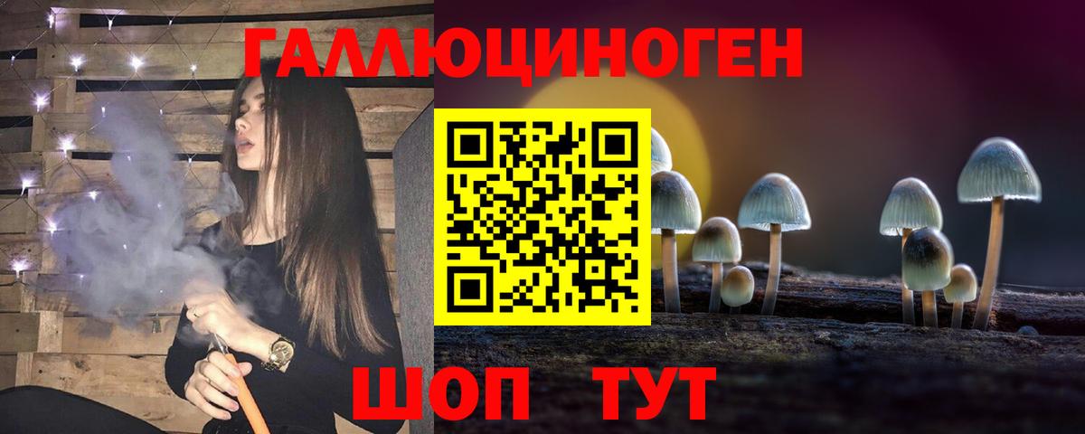 купить  сайты  Вход с VPN  Псилоцибиновые грибы Psilocybine cubensis  Кириши  Галлюциногенные грибы прущие грибы 