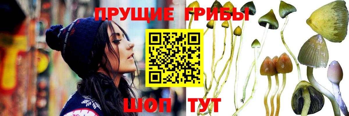 Галлюциногенные грибы ЛСД Кириши